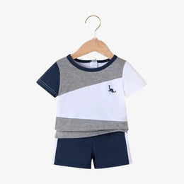 Tiny Family® Baby Boy Summer Sports Set – Dinosaur Print (2-Piece)